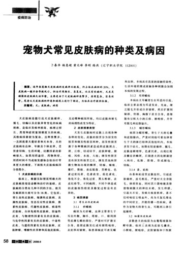 宠物狗皮肤病(到底是什么原因)