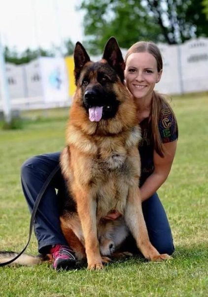 宠物狗种类(还是想要一只体型更大的德国牧羊犬)