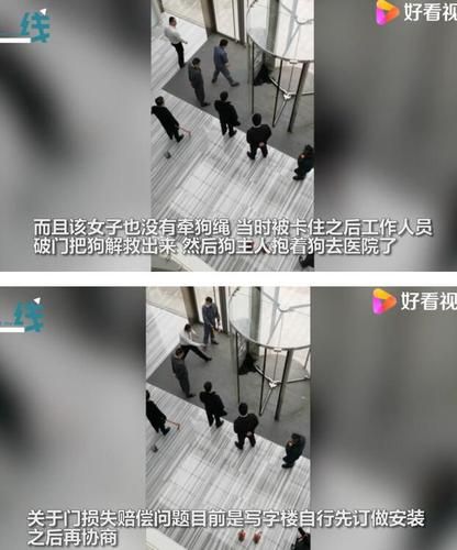 宠物狗被卡旋转门女子倒地哭喊(这到底是怎么发生的)