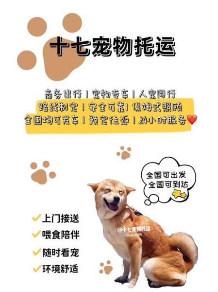 宠物狗领养网站(爱宠网还是宠物之家)