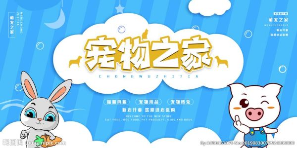 宠物狗领养网站(爱宠网还是宠物之家)
