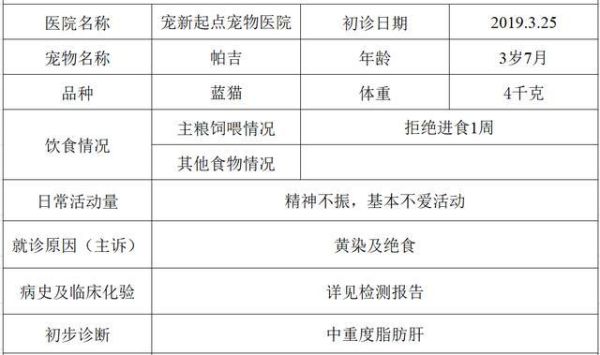 宠物猫医院(如何判断是普通病还是需要去医院)