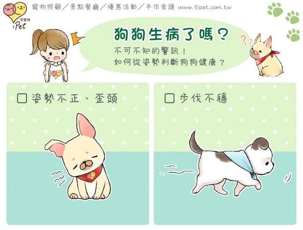 宠物生病(它到底怎么了)