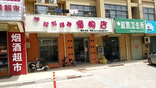 宠物用品代理(哪家品牌更靠谱)