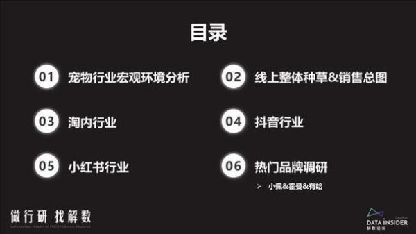 宠物用品公司(究竟该如何打响品牌知名度)
