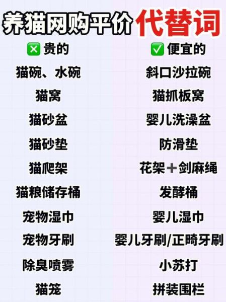 宠物用品在哪买(是去批发市场还是网购更划算)