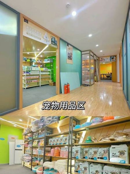 宠物用品店(让你的店更受欢迎)
