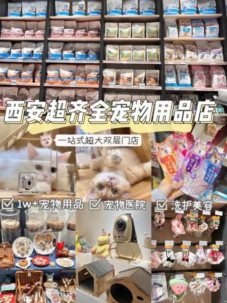 宠物用品店赚钱吗( 会不会竞争太激烈了)