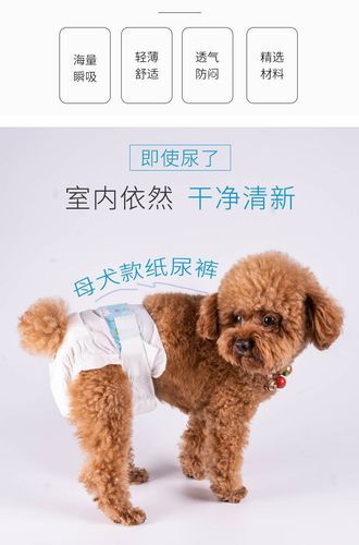 宠物用品批发厂家(哪家厂家值得长期合作)