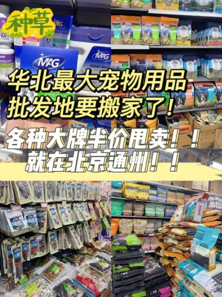 宠物用品批发商城(哪家批发商城靠谱)