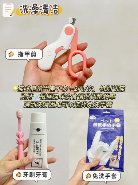 宠物用品生产厂家(应该从哪些方面考虑)