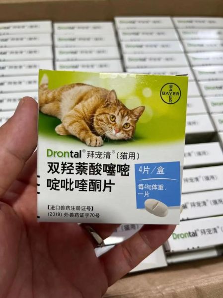 宠物用药(家里备点什么药更靠谱)