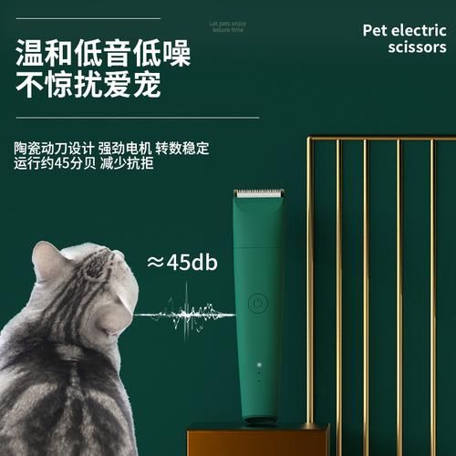 宠物电推剪(宠物电推剪好用吗)