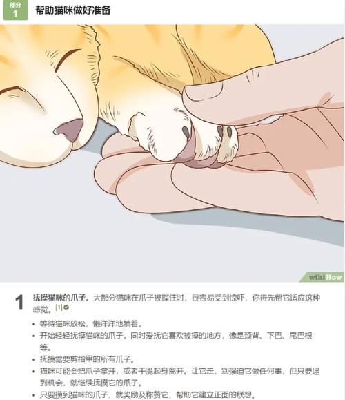 宠物的饲养(怎样才能安全地给宠物剪指甲)