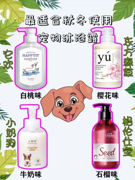 宠物皮肤病(是吃药还是洗澡)