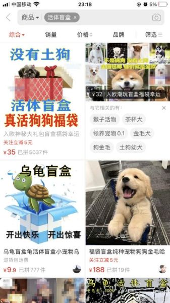 宠物盲盒( 它能让你快乐吗)