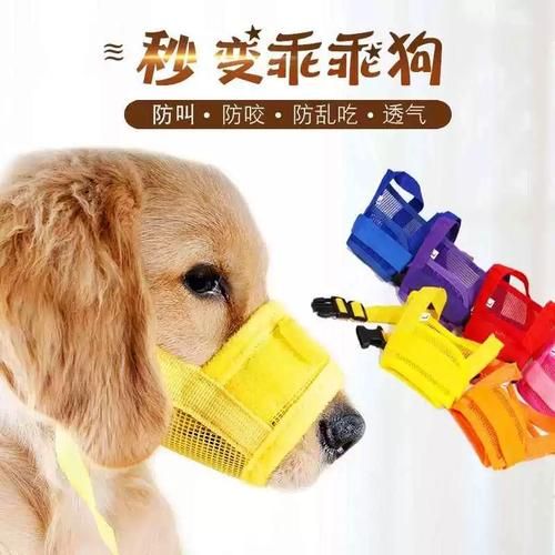 宠物知识大全( 如何防止狗狗乱咬东西)