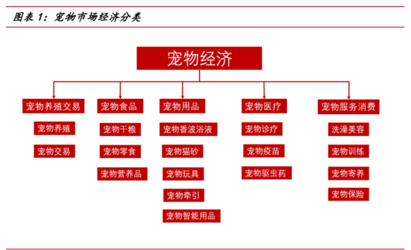 宠物经济崛起(究竟是哪些因素在驱动)