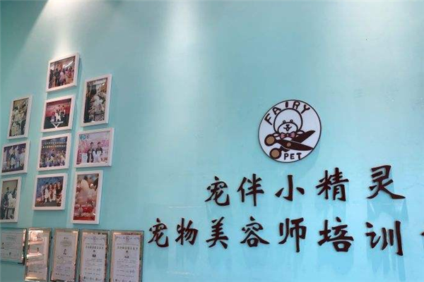 宠物美容(还是个服务行业)