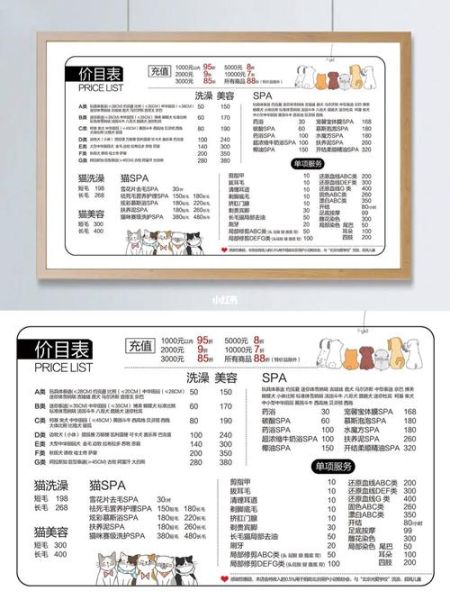 宠物美容价格(学出来能赚钱吗)