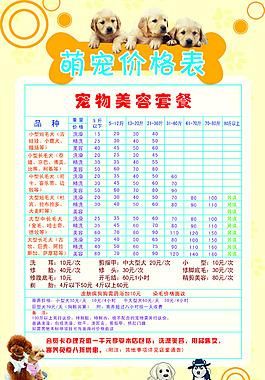 宠物美容价格(学出来能赚钱吗)
