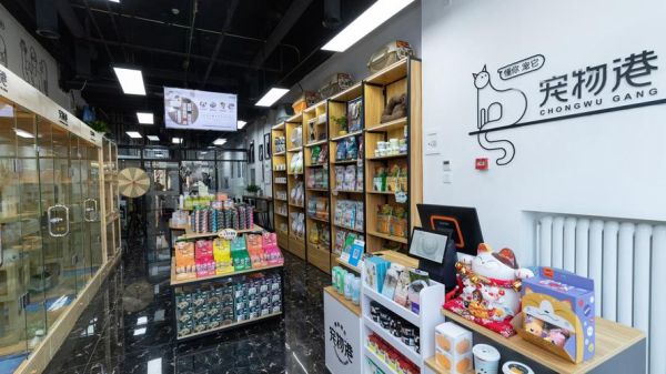 宠物美容哪里有(怎么找到性价比高的店)