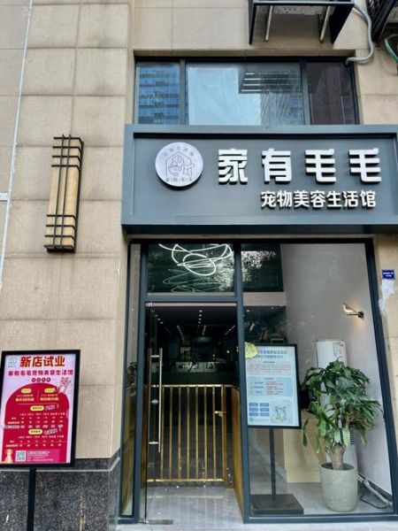 宠物美容哪里有(怎么找到性价比高的店)
