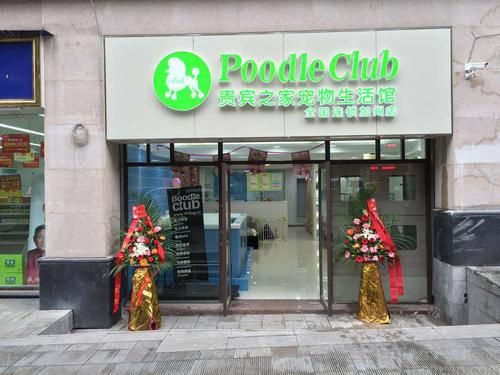 宠物美容团购( 哪家宠物美容店最靠谱)