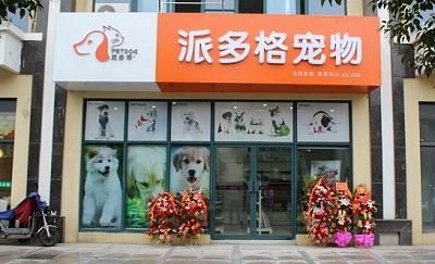 宠物美容培训中心( 派多格助你一臂之力)