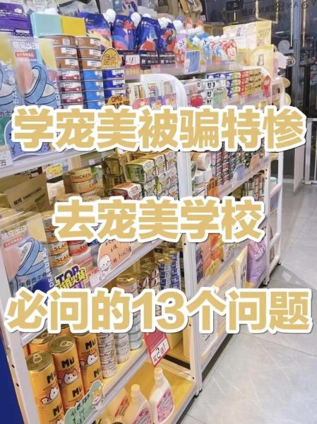 宠物美容培训哪家好( 哪个学校能帮我快速找到工作)