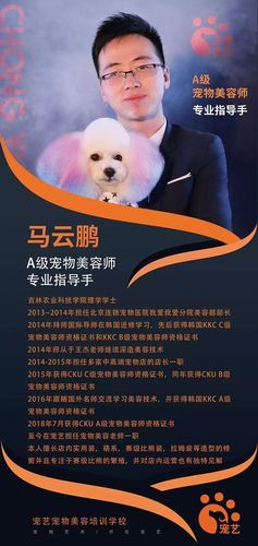 宠物美容培训学费( 靠谱学校怎么选)
