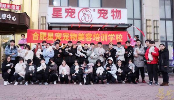宠物美容学校排名(哪个学校教学质量高)