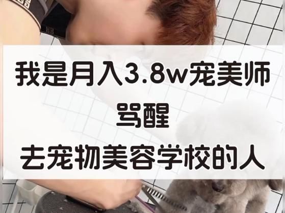 宠物美容师一月多少钱( 月入过万真的有可能吗)