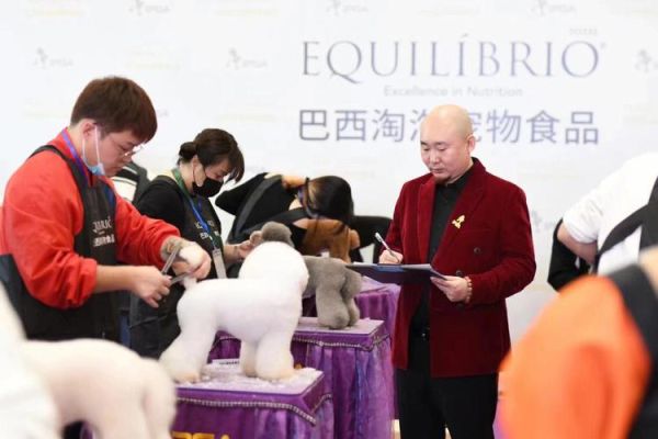 宠物美容师培训教程(专业学校靠谱吗)