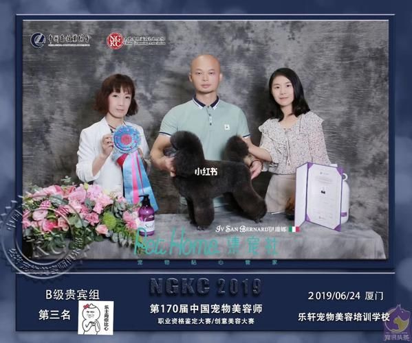 宠物美容师培训费用(C级、B级、A级培训费用哪个最贵)