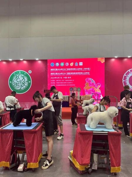 宠物美容师培训费用(C级、B级、A级培训费用哪个最贵)