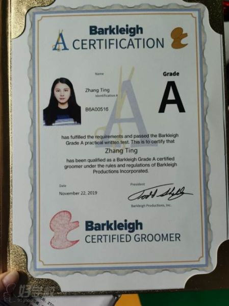 宠物美容师学费多少( C级和B级差别大吗)
