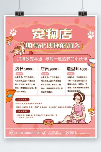 宠物美容师招聘(哪个宠物店待遇最好)