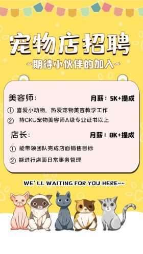 宠物美容师招聘(哪个宠物店待遇最好)