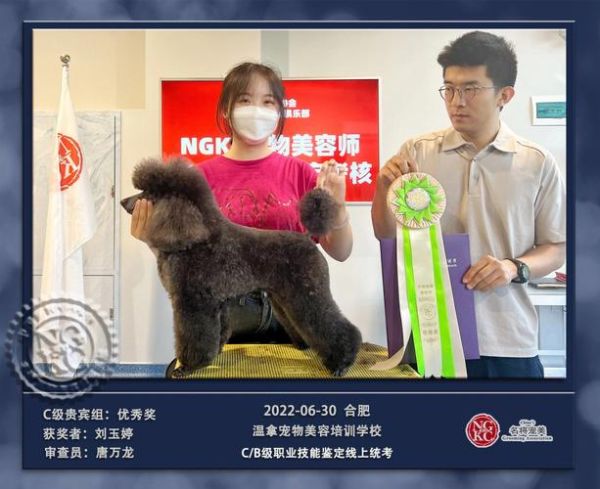 宠物美容师求职(宠物美容师工资到底多少)