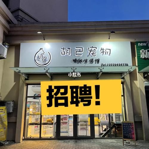 宠物美容师求职(宠物美容师工资到底多少)