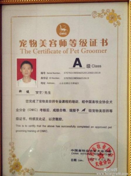 宠物美容师证(考宠物美容师证书能提升技能吗)