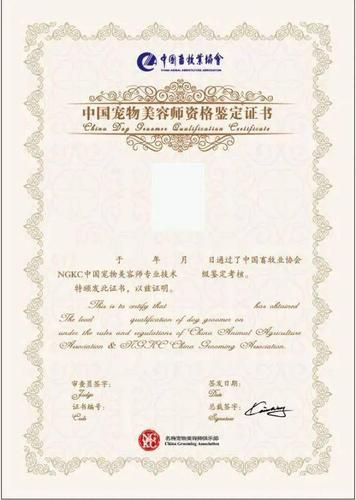 宠物美容师资格证(需要满足什么条件)