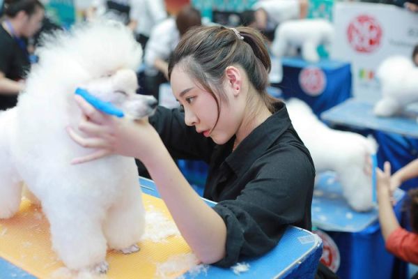 宠物美容师难学吗( 学会了就能给宠物做造型吗)