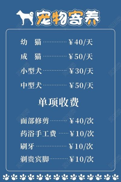 宠物美容店(宠物美容店收费标准是多少)