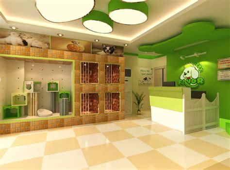 宠物美容店加盟(加盟是捷径吗)