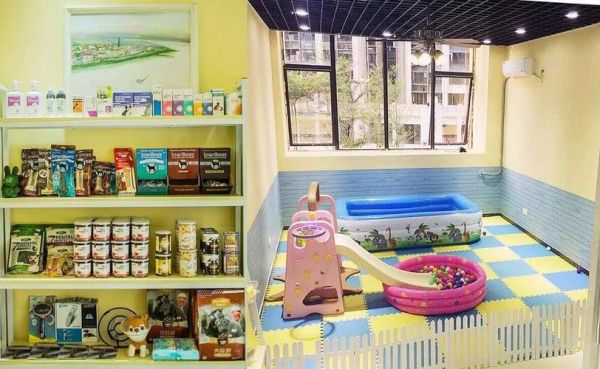 宠物美容店赚钱吗( 真的像想象中那么赚钱吗)