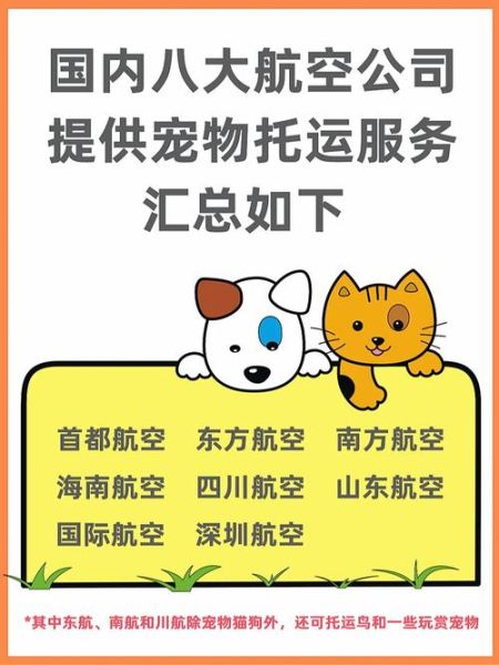 宠物航空托运( 哪些航空公司有人宠同舱服务)