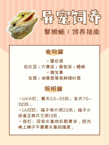 宠物蜥蜴(怎么才能把它养好)