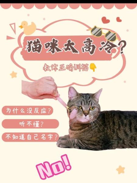 宠物训练师(让它乖乖听话)
